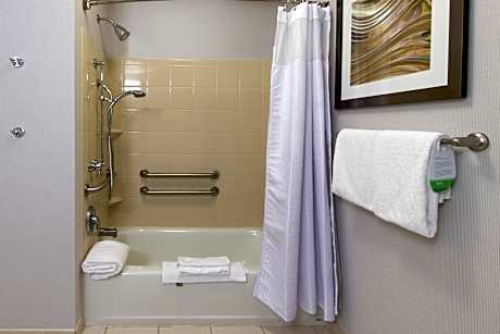 Room, 1 King Bed with Sofa bed (Mobility/Hearing Accessible, Tub) (1 King Bed and 1 Double Sofa Bed)