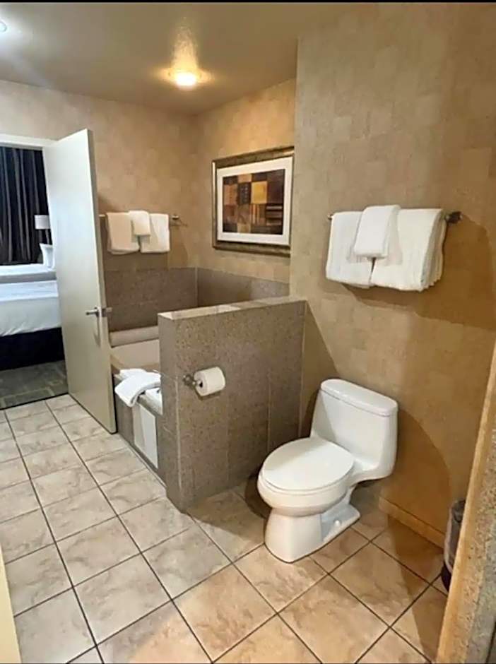 Apartment with Balcony at Platinum Hotel