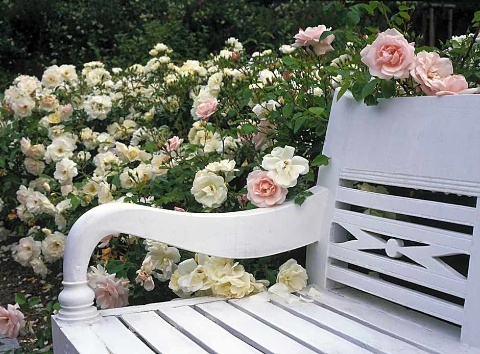 Das Gut klein Bollhagen