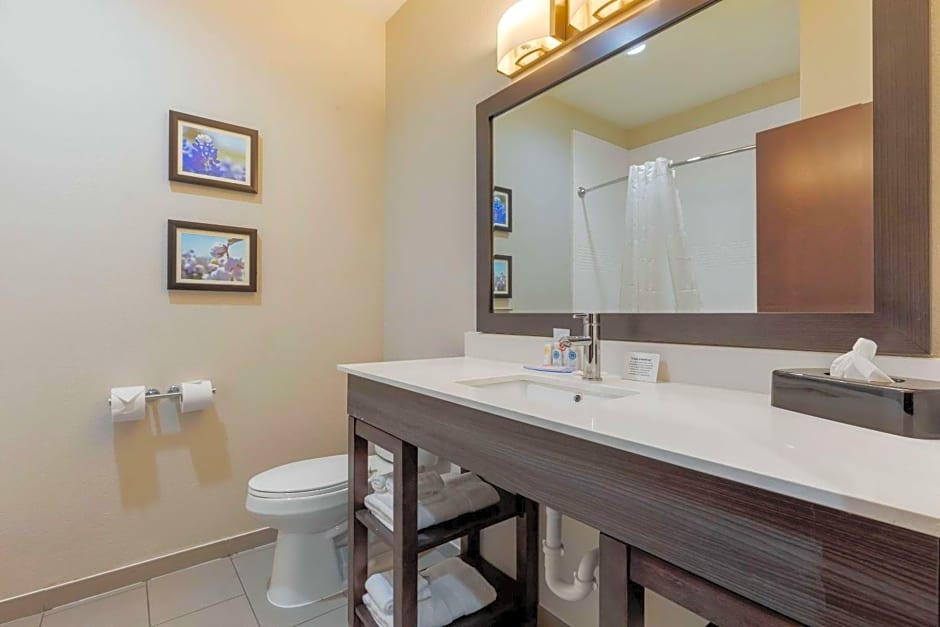 Comfort Inn & Suites Balch Springs - SE Dallas