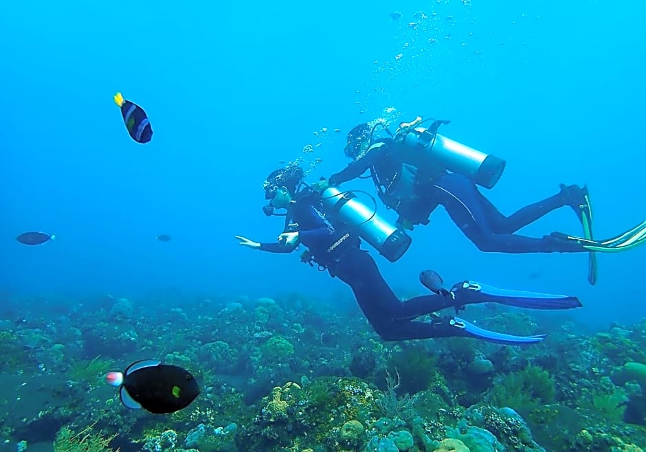 BlueHill Dive Resort Tulamben