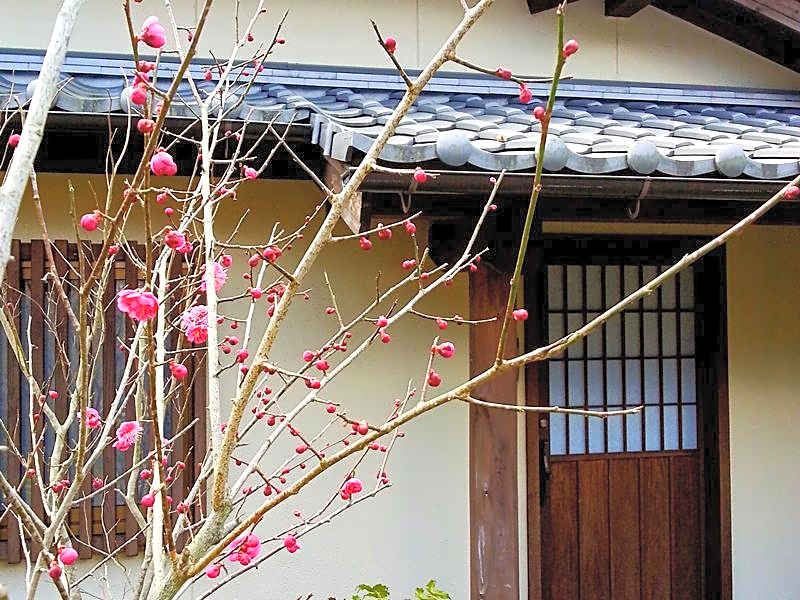 Oyado Kaikatei Ryokan