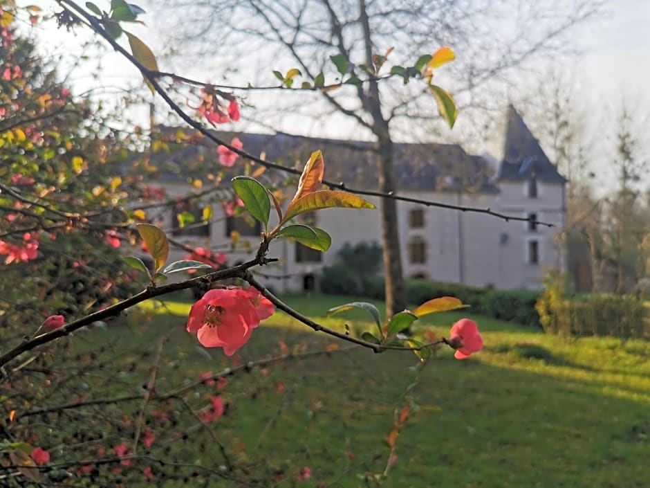 Gîte du Meunier