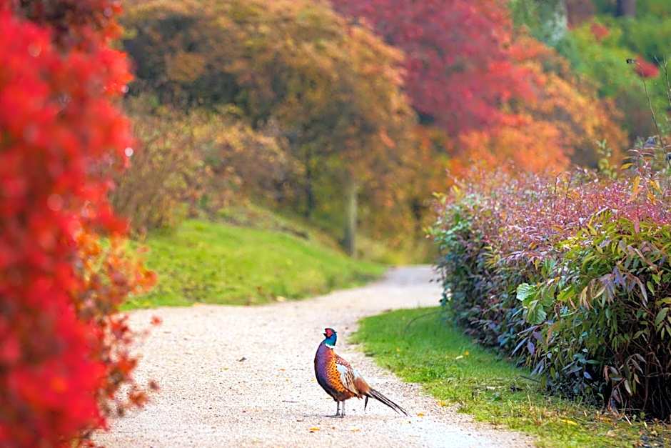 Leonardslee House at Leonardslee Lakes & Gardens