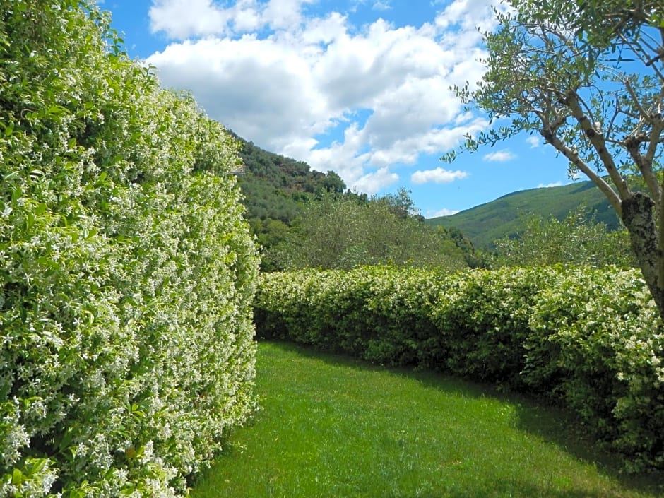 Villa Paggi Country House