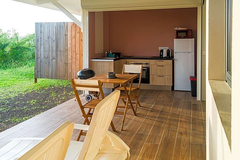 Studio : Écaille de tortue