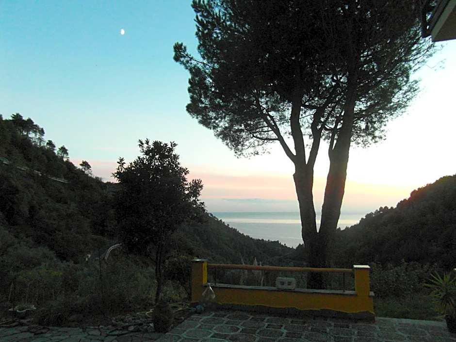 Agriturismo Costa di Campo