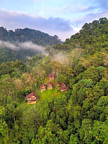 ORANGUTANTREKSUMATRA & LOVELY JUNGLE LODGE only book IF you are treking with us