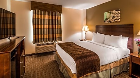 SUITE-1 QUEEN BED,NSMK,SOFBD,JUNIOR STE,DELUX SHOWR,WHISPD,FULL BREAKFAST