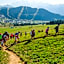 Belambra Clubs Les Saisies - Les Embrunes - Ski pass included