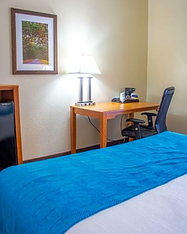 Accessible 1 King Bed
