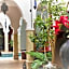 Les Jardins Mandaline