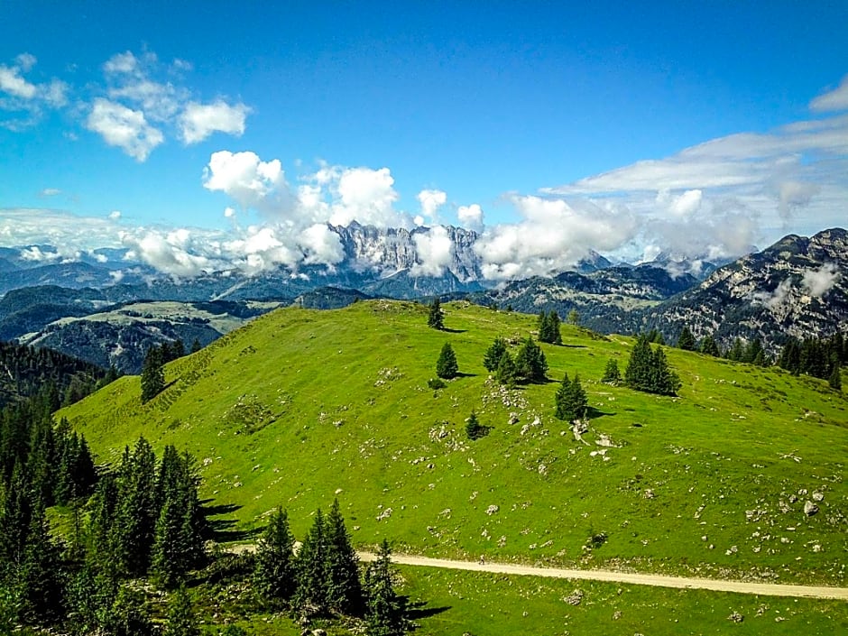 Hotel Steffl Garni inkl Chiemgau Karte