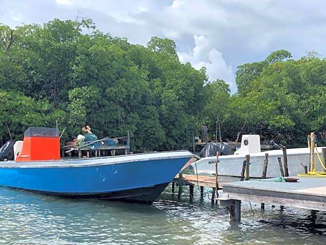 Villa Tigo T3 Colibri