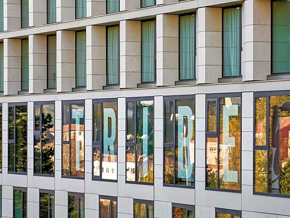 TRIBE Lyon Croix Rousse