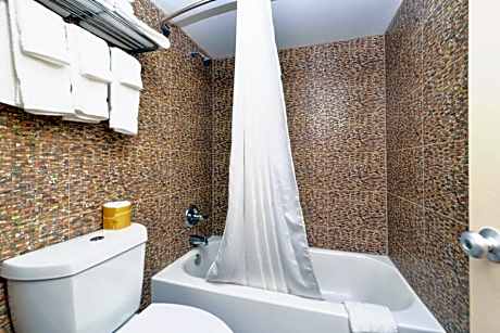 1 King Bed Non-Smoking