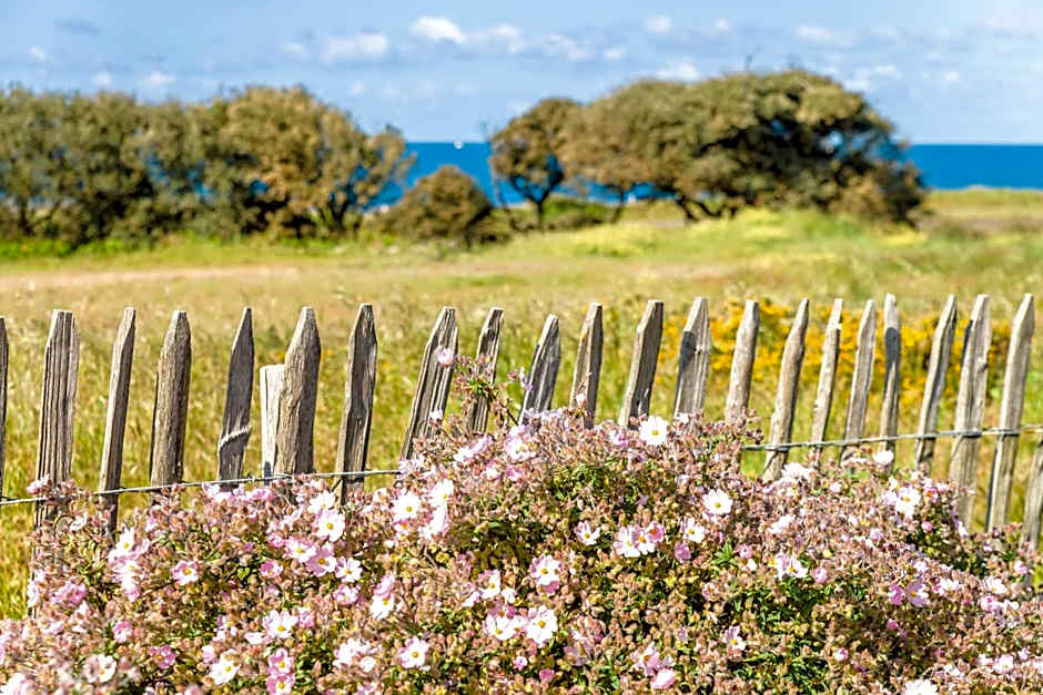 Lagrange Vacances L’Estran