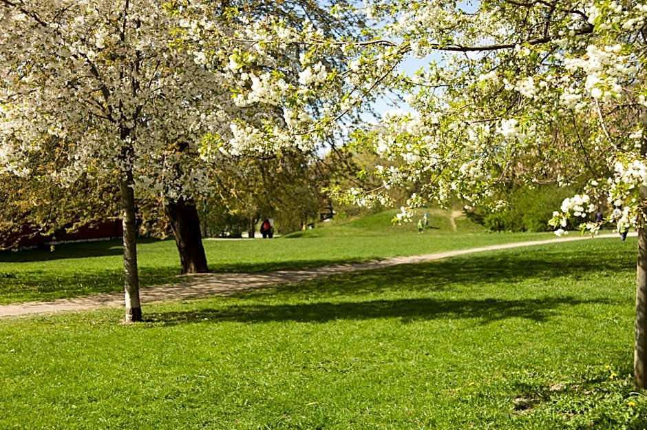 STF Hotel Zinkensdamm