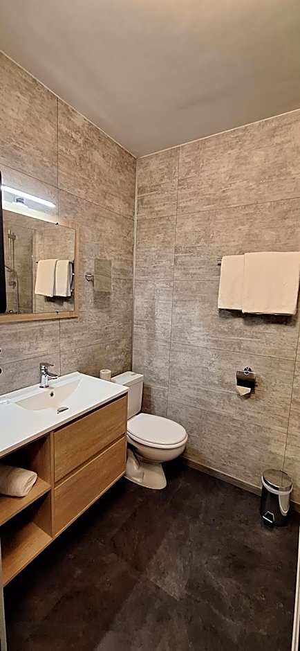 Brit Hotel le Cygne
