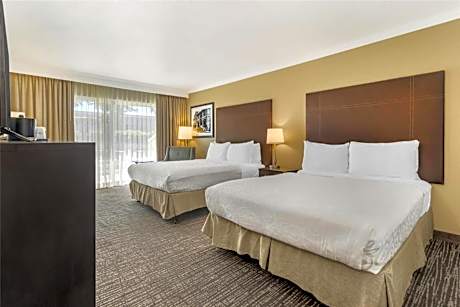 Queen Room with Two Queen Beds and Patio - Poolside