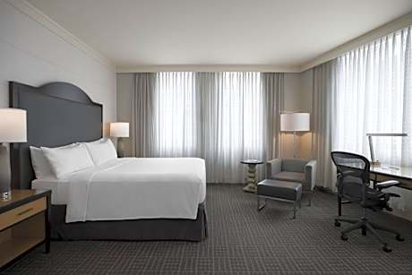 Suite, 1 King Bed