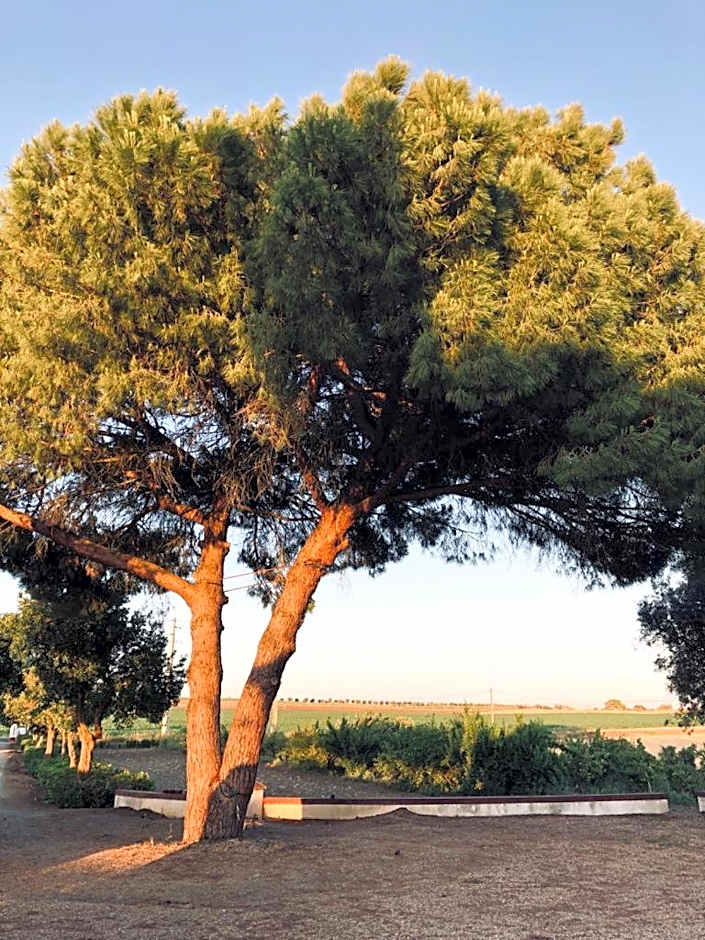 Monte da Floresta B&B