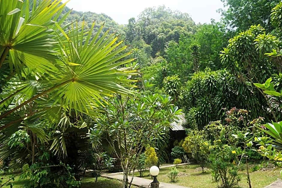 Khao Sok Green Mountain View