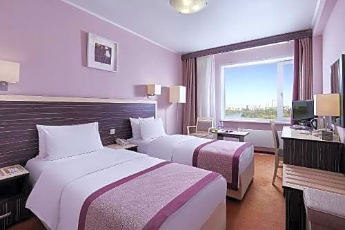Photo 1 of 7 of Superior Twin Room