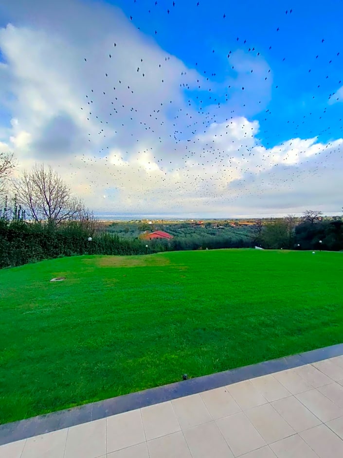 La staccionata bianca