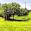 Residenza Bertolini