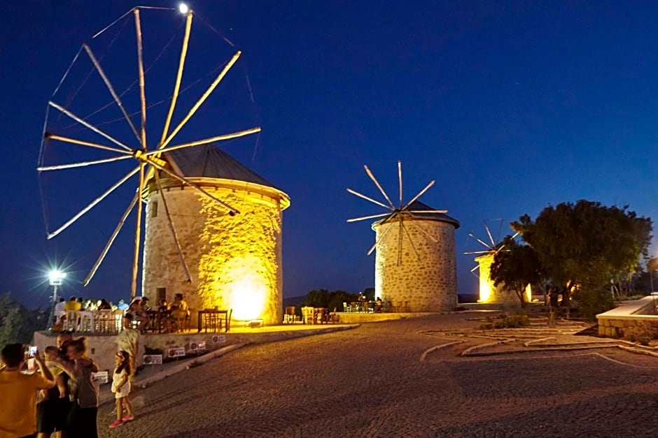 EFLIN HAUS Historical Place & Monument