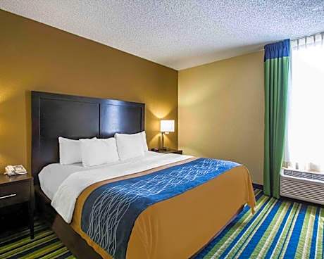 1 King Bed, Suite, Nonsmoking