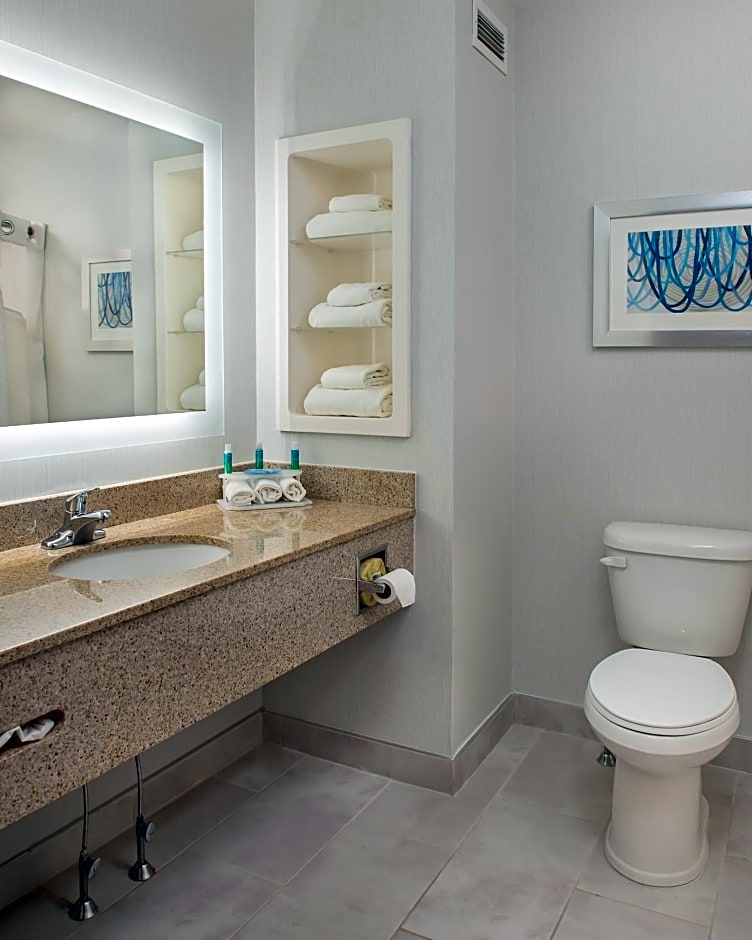 Holiday Inn Express Hotel & Suites Clifton Park By IHG
