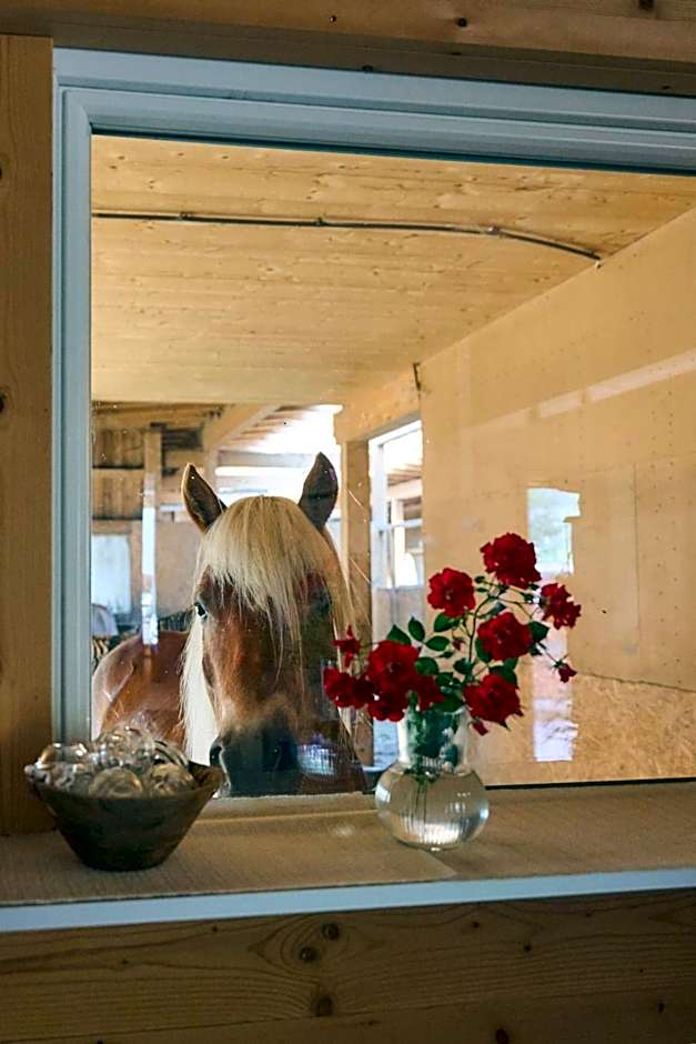 B&B Margit's Ranch Urlaub am Pferdehof