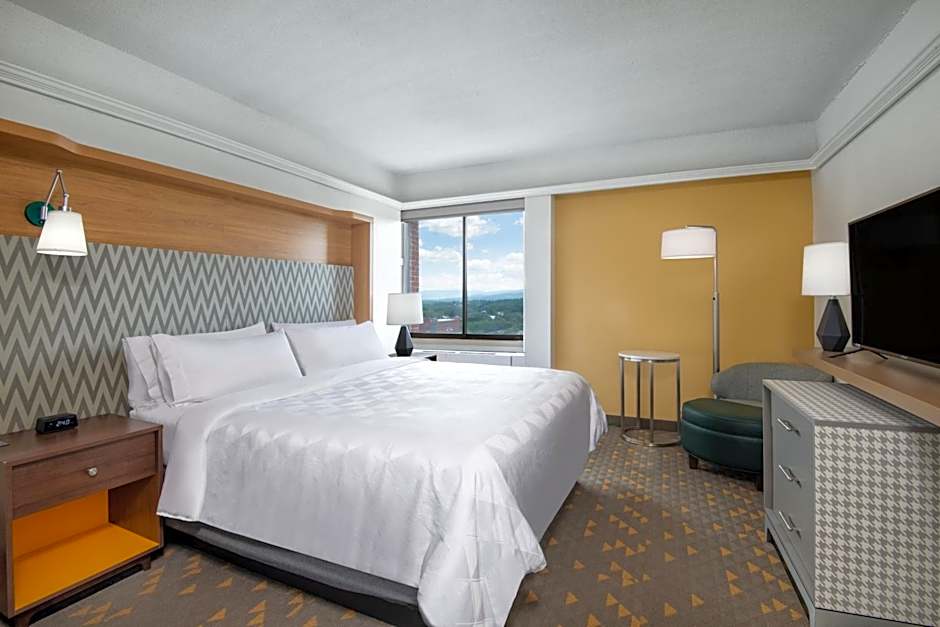 Holiday Inn Hotel And Suites Pittsfield-Berkshires By IHG