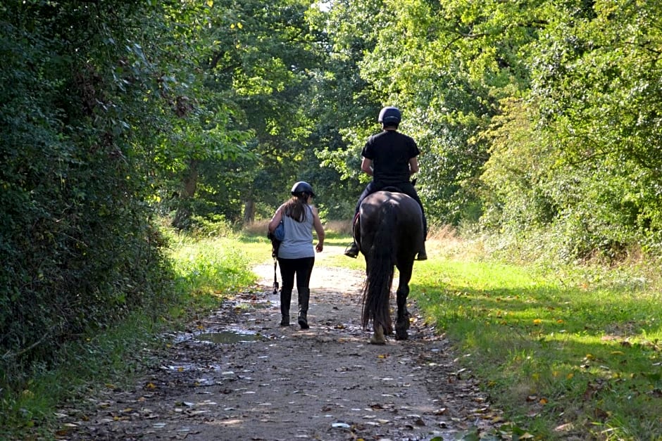 Chambre d'hôte de l'élevage du Lattay