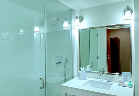 Suite, 1 King Bed