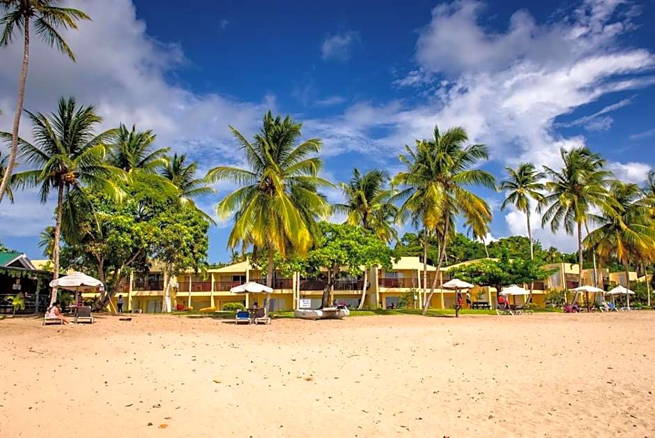 Starfish Tobago