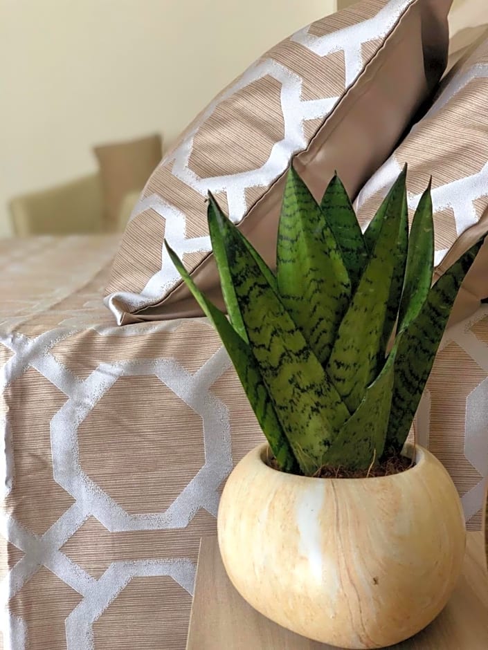 Montellinos Suite Tortora