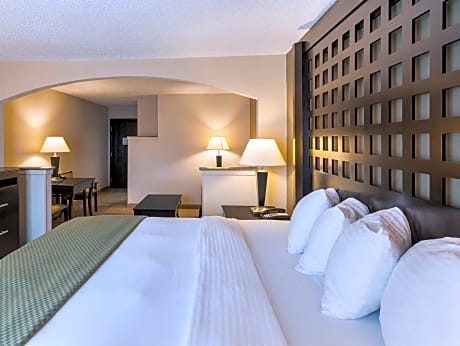 1 King Bed, Suite, Nonsmoking