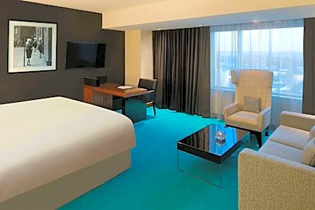 1 King Bed, Suite, Nonsmoking, Accessible