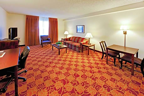 One-Bedroom Executive King Suite, Non-Smoking