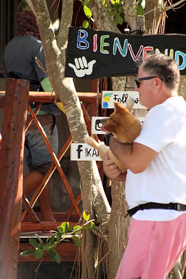 Ikarus Costa Mujeres Eco Lodge Sunset View