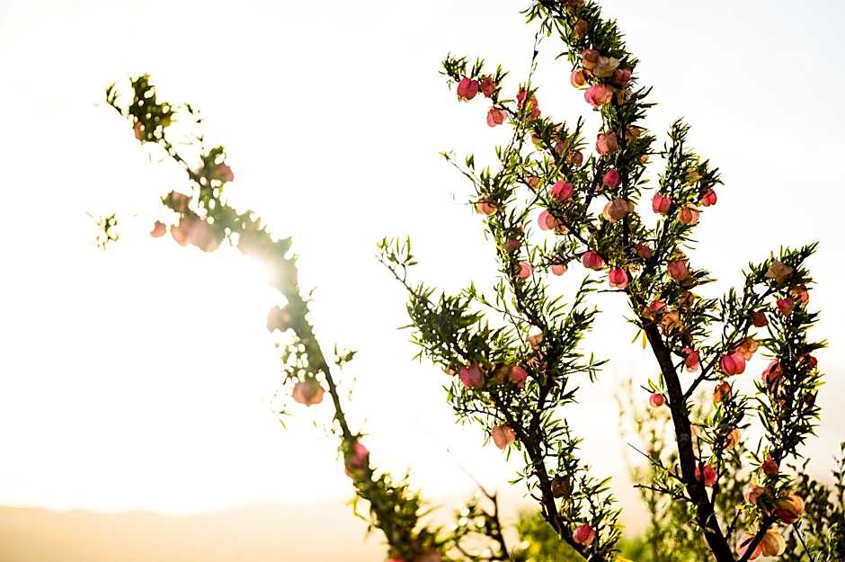 Le Petit Karoo