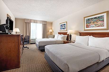 1 Queen Standard Sofa Bed