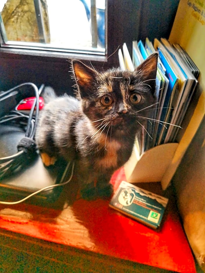 B&B Dove Comincia la Bella Italia