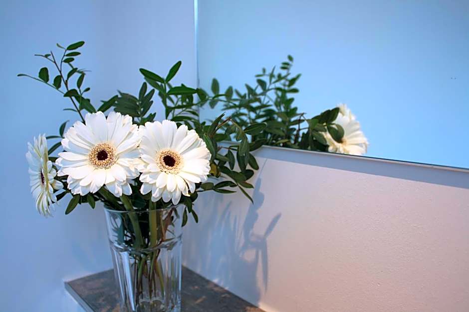 Five Reasons Hostel & Hotel