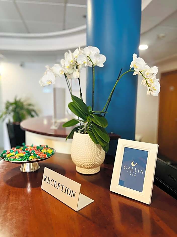 Hotel Gallia