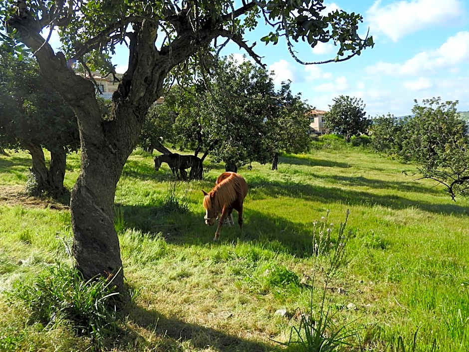 Hill View Hotel Apartments