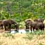 Tulani Boutique Lodge